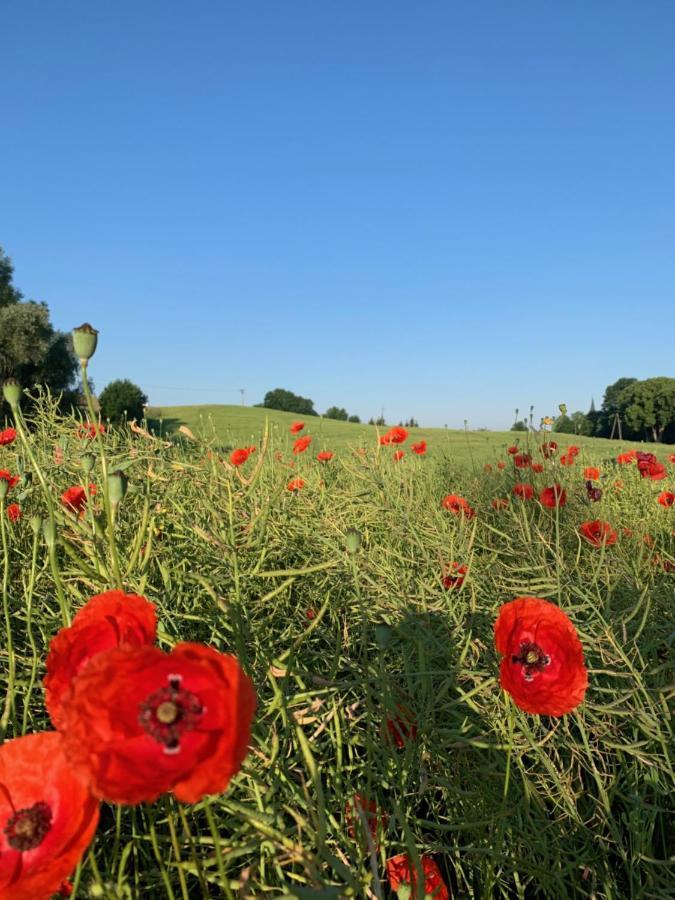 Villa Toscana Gietrzwałd Eksteriør billede